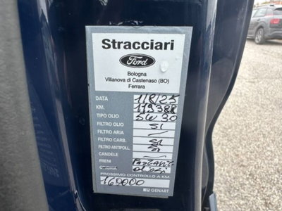 Ford Transit Furgone 350 2.0TDCi EcoBlue MHEV 130CV PL-TM Combi Trend N1 (11)