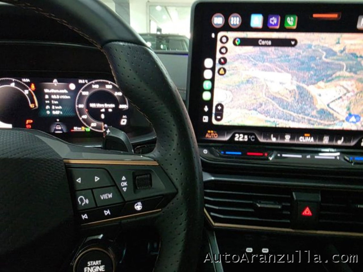 Cupra Formentor Formentor 2.0 TDI (11)