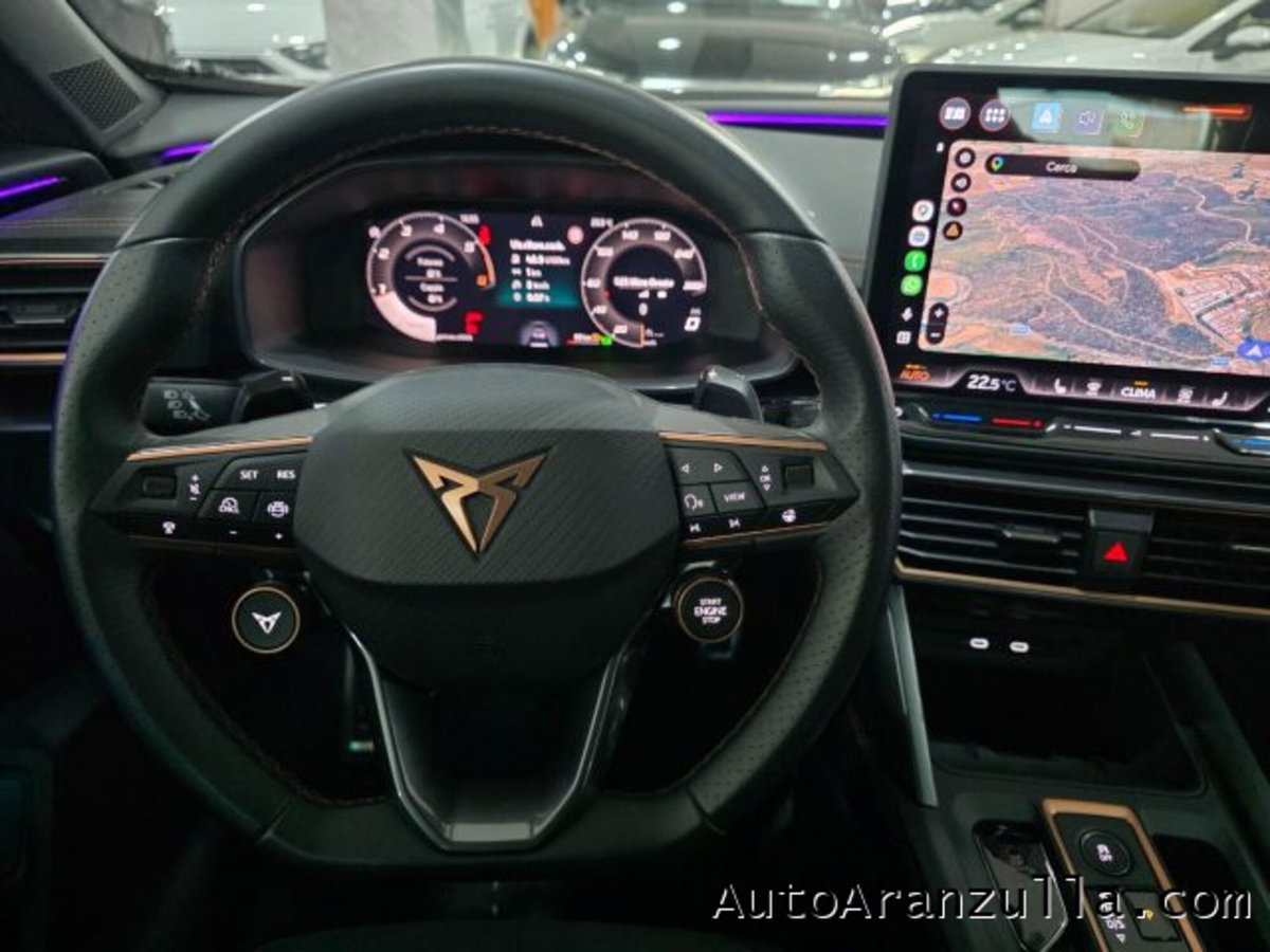 Cupra Formentor Formentor 2.0 TDI (13)
