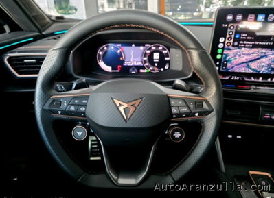 Cupra Formentor Formentor 2.0 TDI (13)