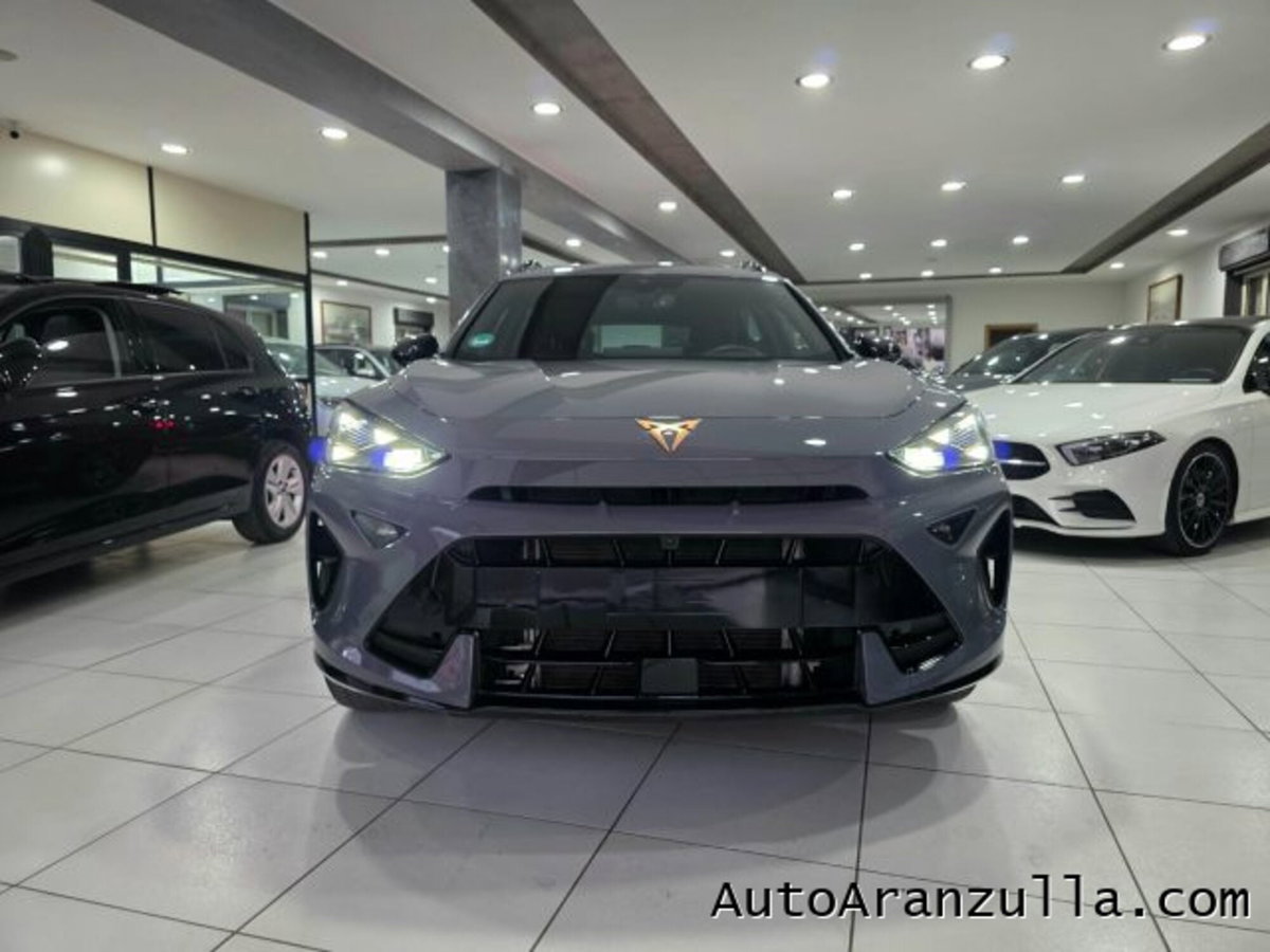 Cupra Formentor Formentor 2.0 TDI (2)