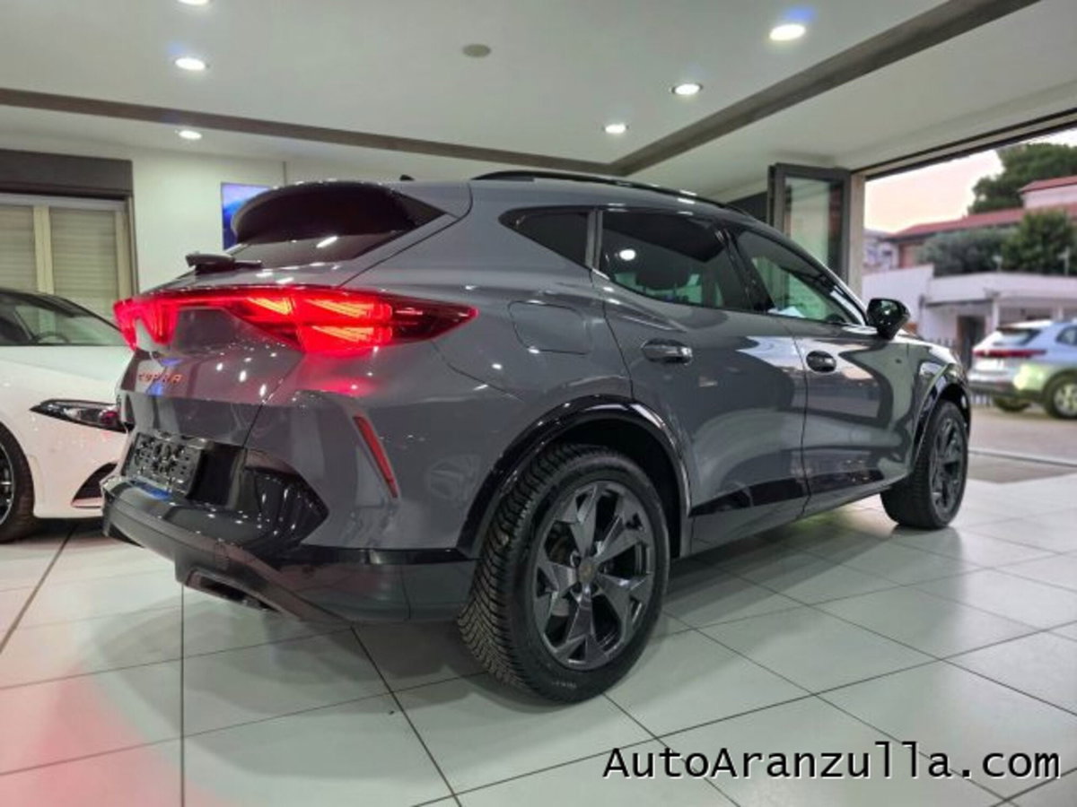 Cupra Formentor Formentor 2.0 TDI (4)