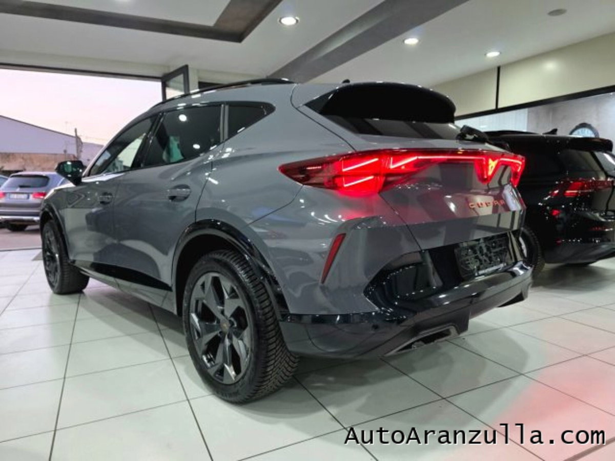 Cupra Formentor Formentor 2.0 TDI (6)