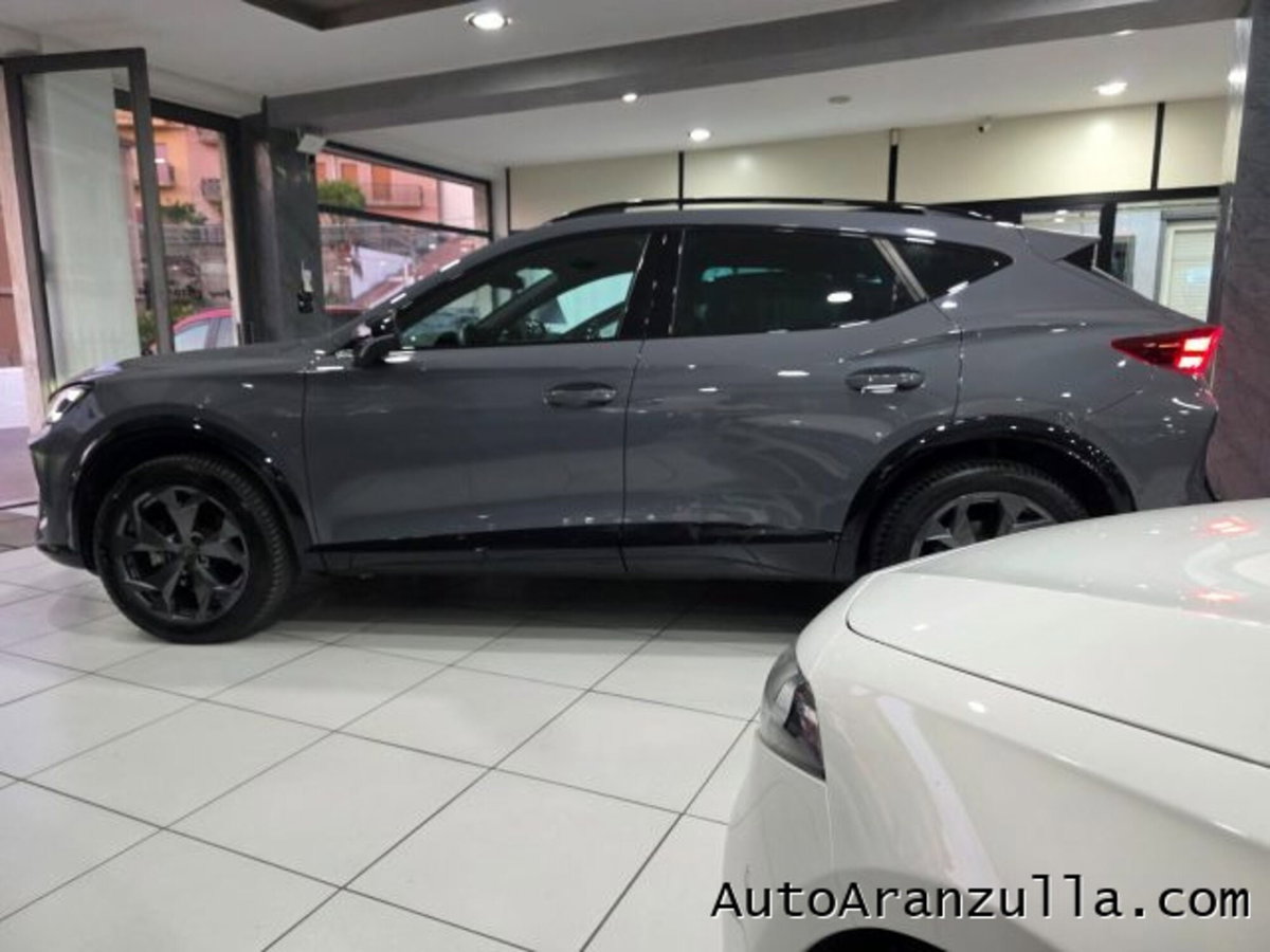Cupra Formentor Formentor 2.0 TDI (7)