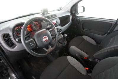 Fiat Panda 1.0 FireFly S&S Hybrid City Cross usata