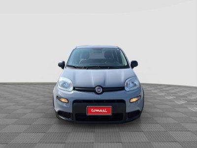 Fiat Panda 1.0 FireFly S&S Hybrid City Cross (8)