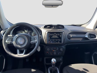 Jeep Renegade 1.0 T3 Business (12)