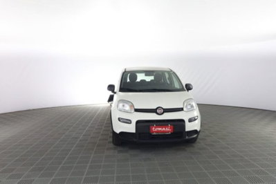 Fiat Panda Cross Cross 1.0 FireFly S&S Hybrid usata