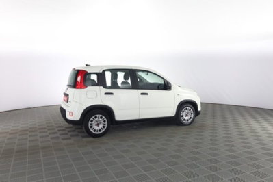 Fiat Panda Cross Cross 1.0 FireFly S&S Hybrid (3)