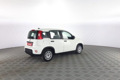 Fiat Panda Cross Cross 1.0 FireFly S&S Hybrid (4)