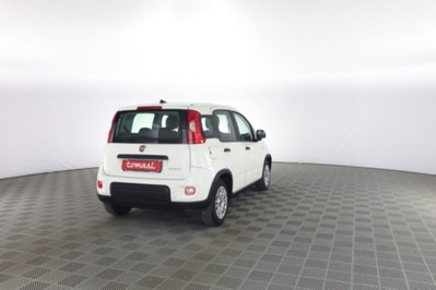 Fiat Panda Cross Cross 1.0 FireFly S&S Hybrid (5)