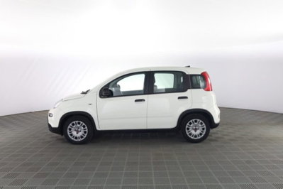Fiat Panda Cross Cross 1.0 FireFly S&S Hybrid (7)