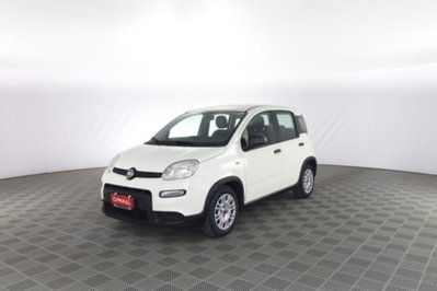 Fiat Panda Cross Cross 1.0 FireFly S&S Hybrid (8)