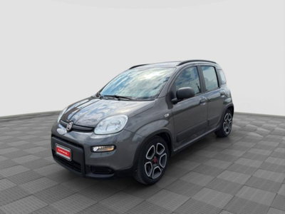 Fiat Panda 1.0 FireFly S&S Hybrid City Cross usata