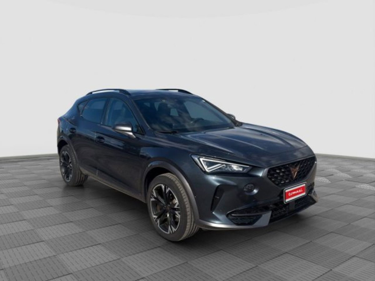 Cupra Formentor Formentor 2.0 tdi 4drive 150cv dsg (7)