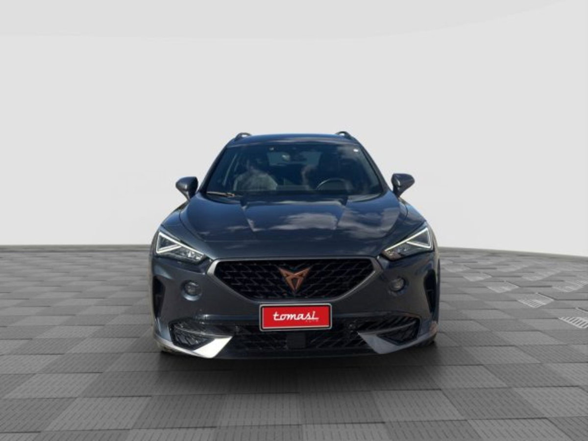 Cupra Formentor Formentor 2.0 tdi 4drive 150cv dsg (8)