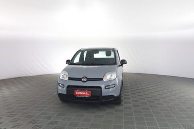 Fiat Panda 1.0 FireFly S&S Hybrid City Cross usata