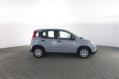 Fiat Panda 1.0 FireFly S&S Hybrid City Cross (3)