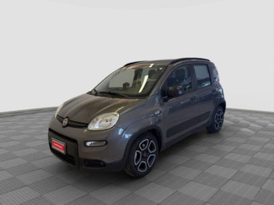 Fiat Panda 1.0 FireFly S&S Hybrid City Cross usata