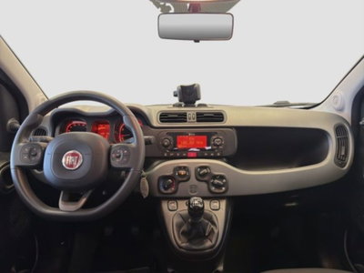 Fiat Panda 1.0 FireFly S&S Hybrid City Cross (11)