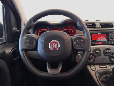 Fiat Panda 1.0 FireFly S&S Hybrid City Cross (12)