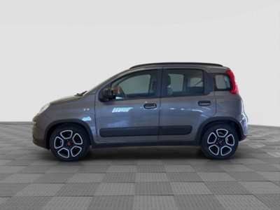Fiat Panda 1.0 FireFly S&S Hybrid City Cross (2)
