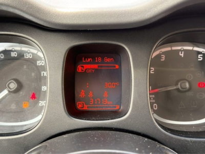 Fiat Panda 1.0 FireFly S&S Hybrid City Cross (15)