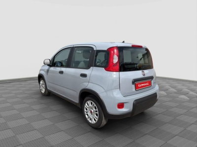 Fiat Panda 1.0 FireFly S&S Hybrid City Cross (3)