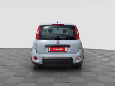 Fiat Panda 1.0 FireFly S&S Hybrid City Cross (4)