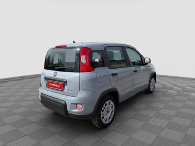 Fiat Panda 1.0 FireFly S&S Hybrid City Cross (5)