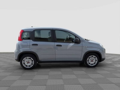 Fiat Panda 1.0 FireFly S&S Hybrid City Cross (6)
