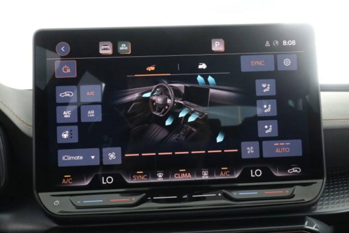 Cupra Formentor Formentor 2.0 TDI (11)