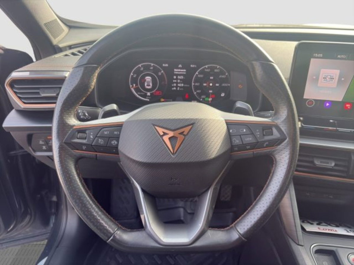 Cupra Formentor Formentor 2.0 tdi 4drive 150cv dsg (13)