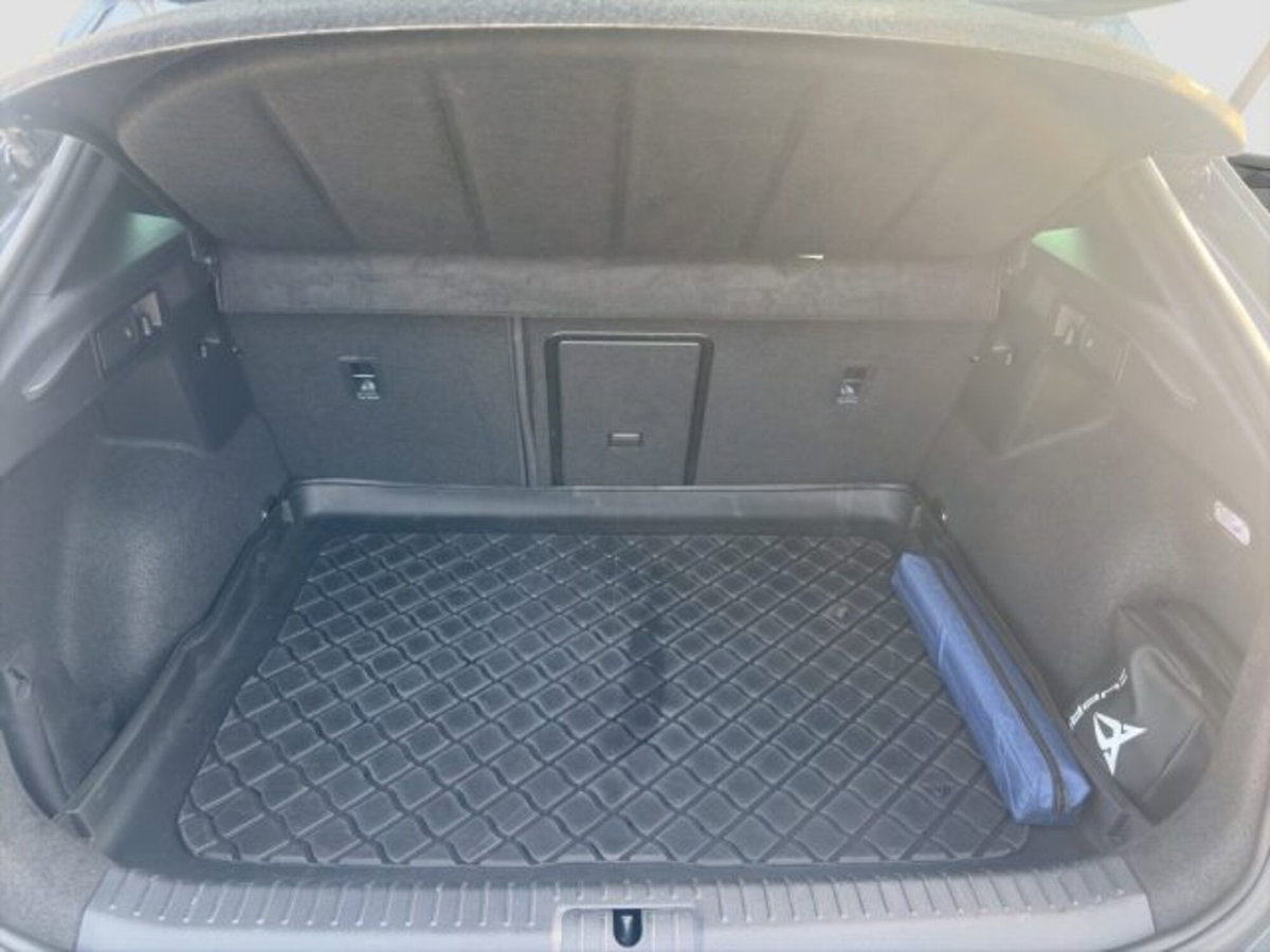 Cupra Formentor Formentor 2.0 tdi 4drive 150cv dsg (14)