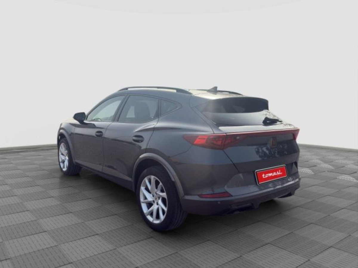 Cupra Formentor Formentor 2.0 tdi 4drive 150cv dsg (3)