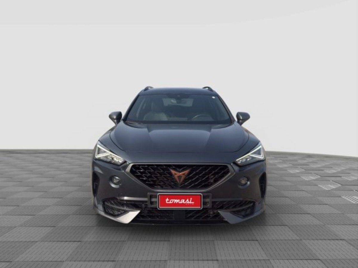 Cupra Formentor Formentor 2.0 tdi 4drive 150cv dsg (4)