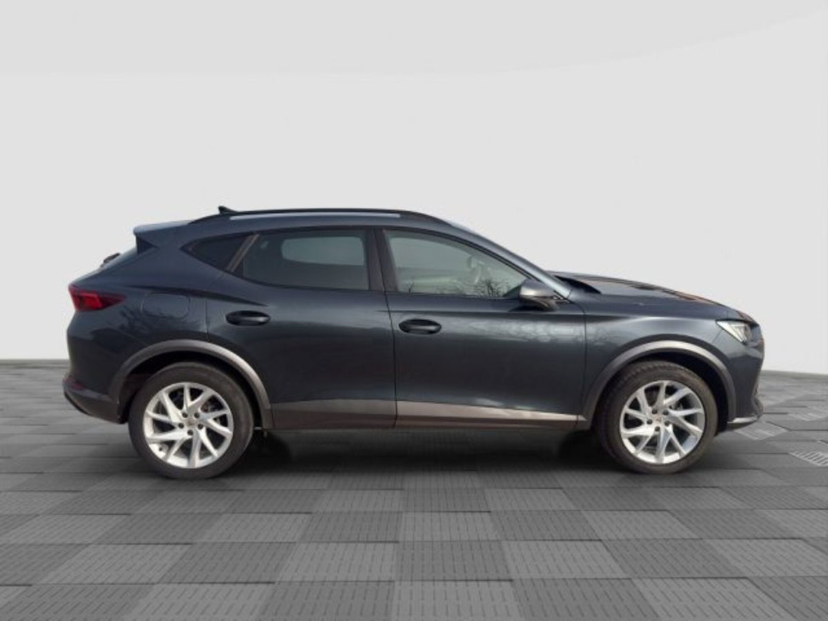 Cupra Formentor Formentor 2.0 tdi 4drive 150cv dsg (7)