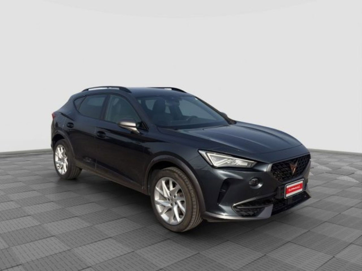 Cupra Formentor Formentor 2.0 tdi 4drive 150cv dsg (8)
