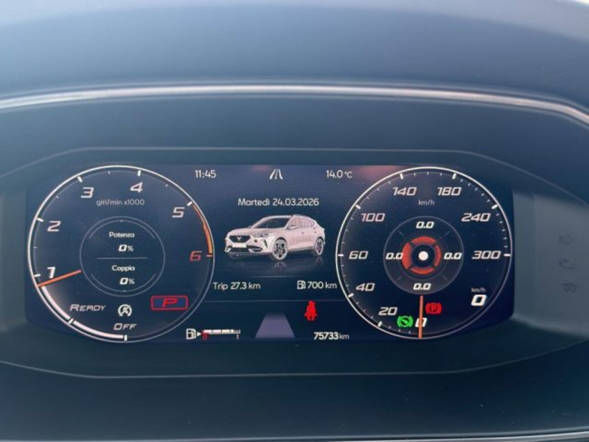 Cupra Formentor Formentor 2.0 tdi 4drive 150cv dsg (6)