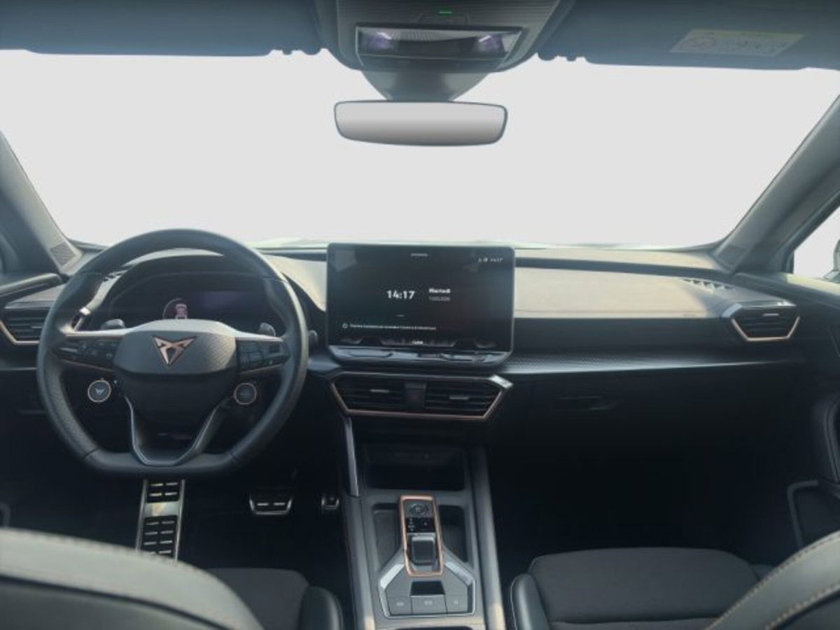 Cupra Formentor Formentor 2.0 TDI (11)