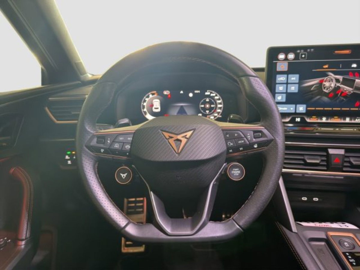 Cupra Leon Leon 2.0 tdi 150cv dsg (12)