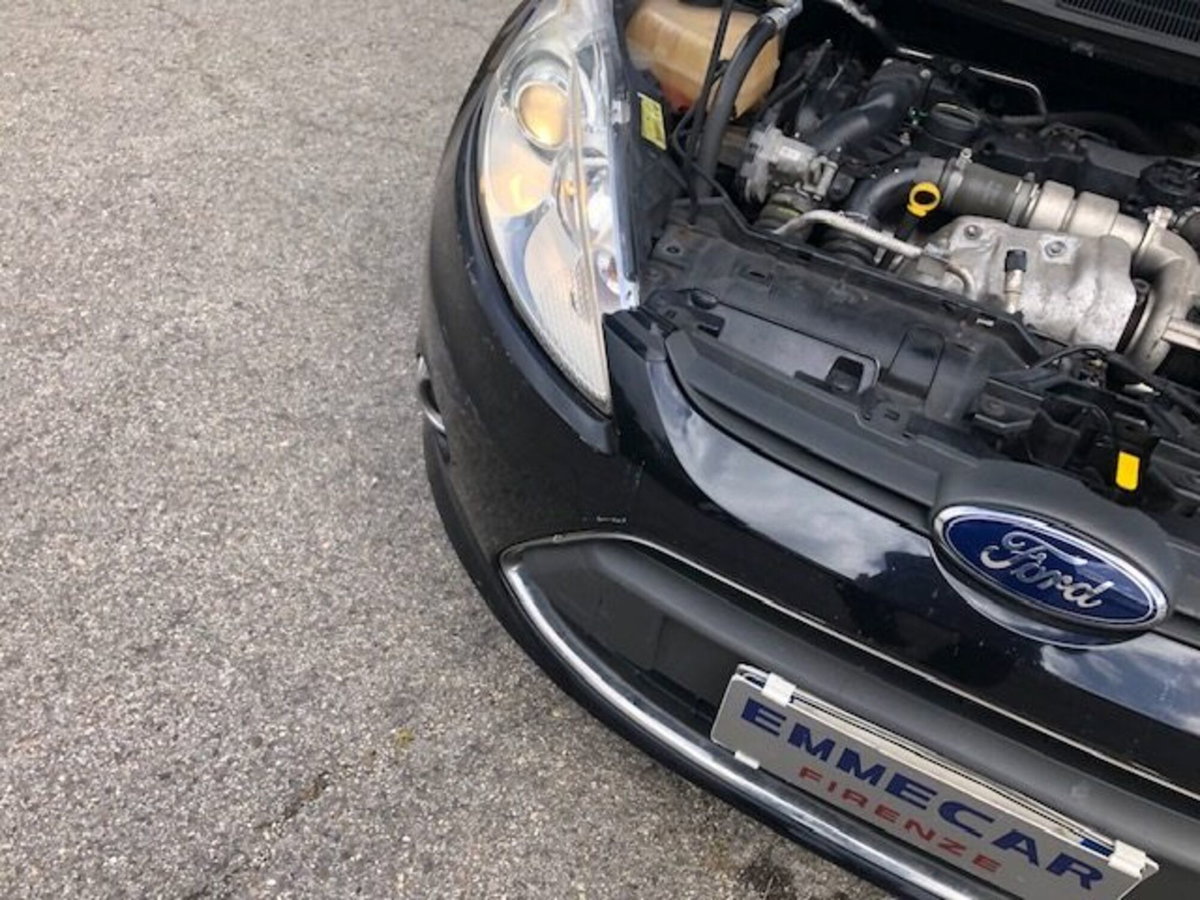 Ford Fiesta 1.6 TDCi 95CV 3 porte Tit. (17)