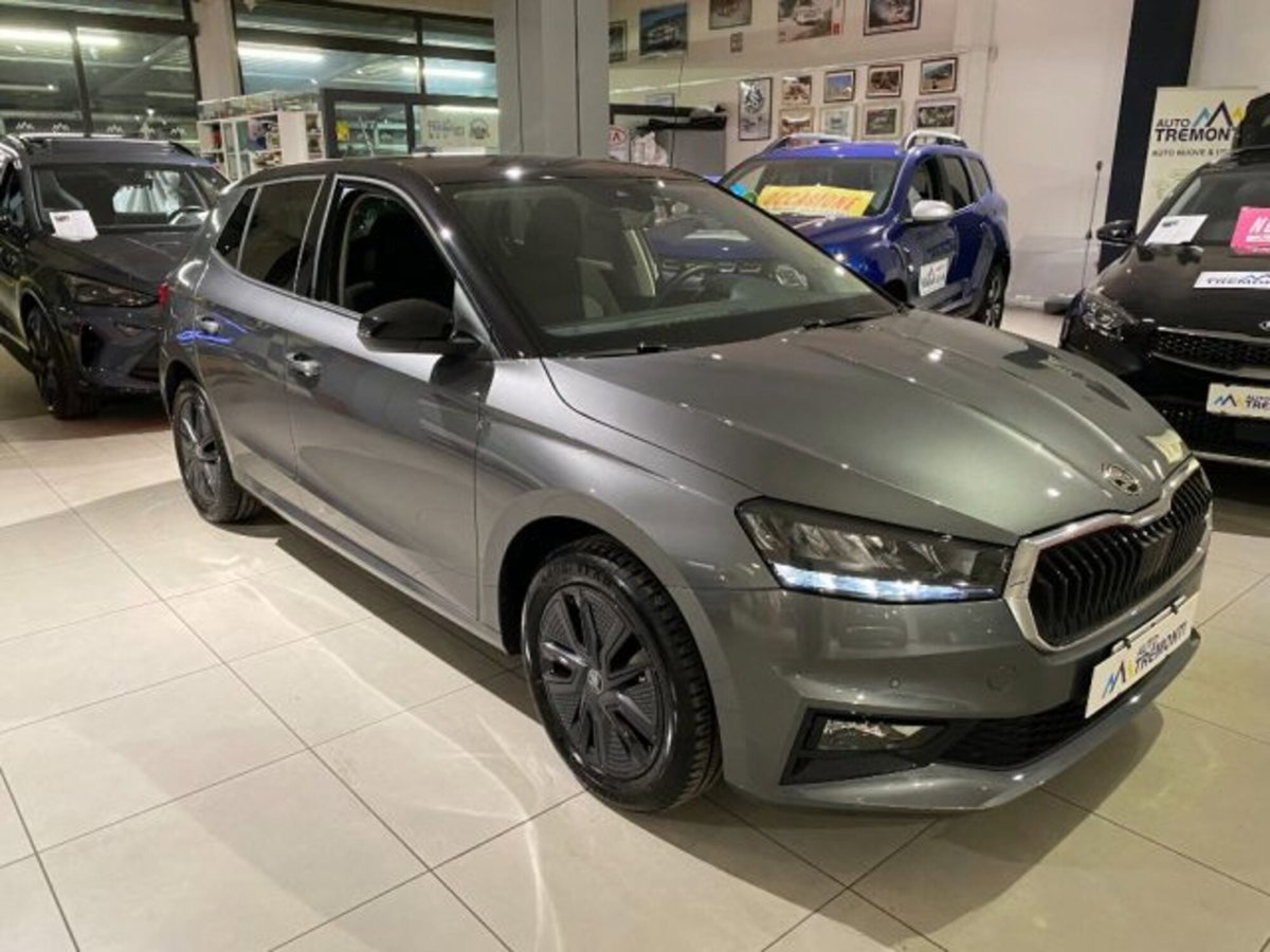 Skoda Fabia 1.0 MPI EVO 80 CV Style (3)