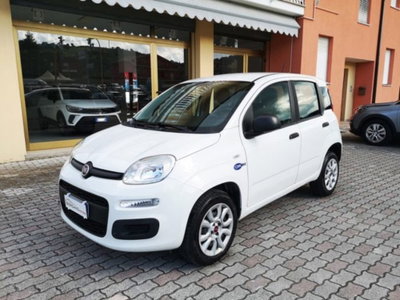 Fiat Panda 0.9 TwinAir Turbo Natural Power Easy usata