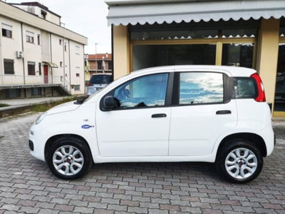 Fiat Panda 0.9 TwinAir Turbo Natural Power Easy (2)