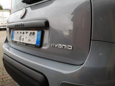 Fiat Panda 1.0 firefly hybrid s&s 70cv 5p.ti (10)