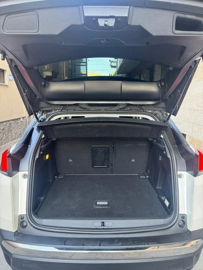 Peugeot 3008 BlueHDi 130 S&S Business (12)