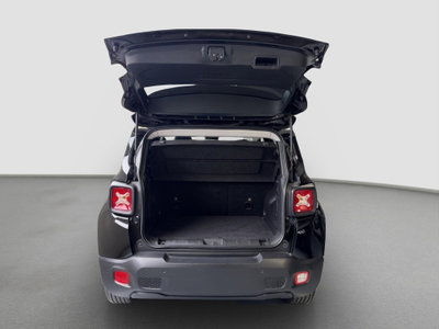 Jeep Renegade 1.0 T3 Business (8)