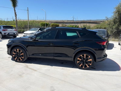 Cupra Formentor Formentor 2.0 TDI (5)