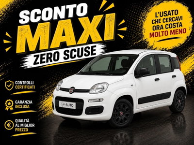 Fiat Panda 1.2 Easy usata